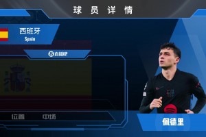 佩德里球員集錦：新生代中場的領(lǐng)軍人物